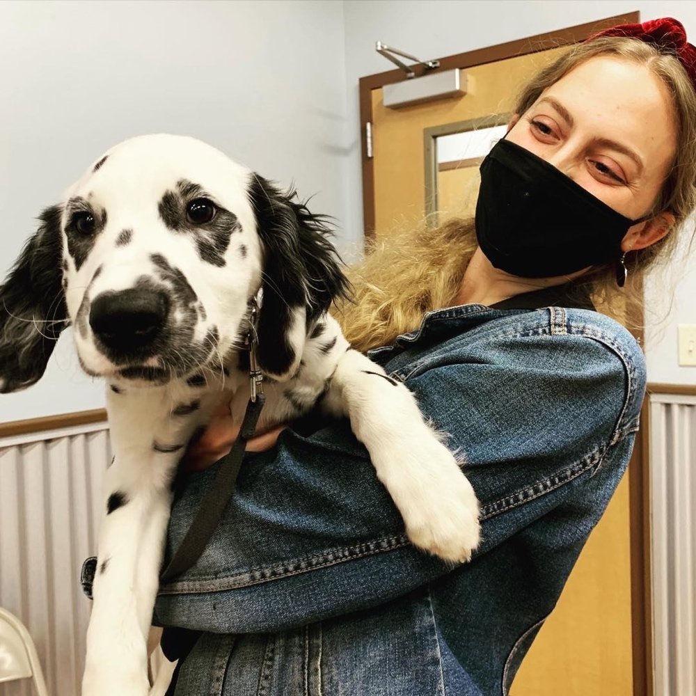 Meet your Posher, Rachel